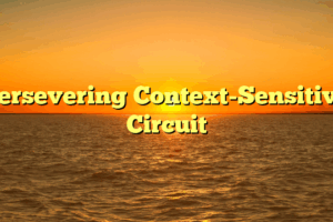 Persevering Context-Sensitive Circuit